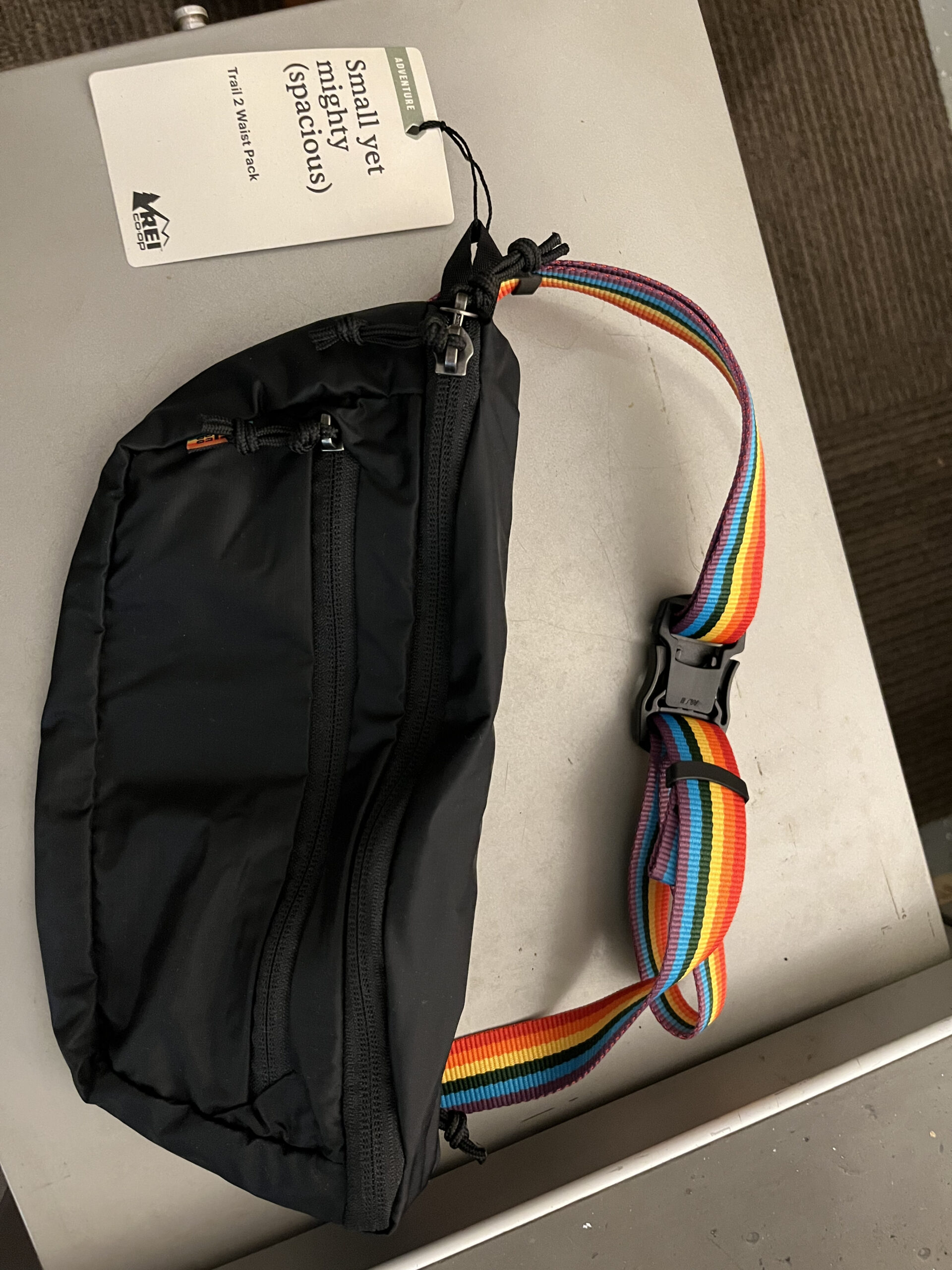 REI Trail 2 Waist Pack